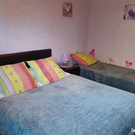 Chambres D'Hotes Les Nefliers Αμπουάζ Εξωτερικό φωτογραφία