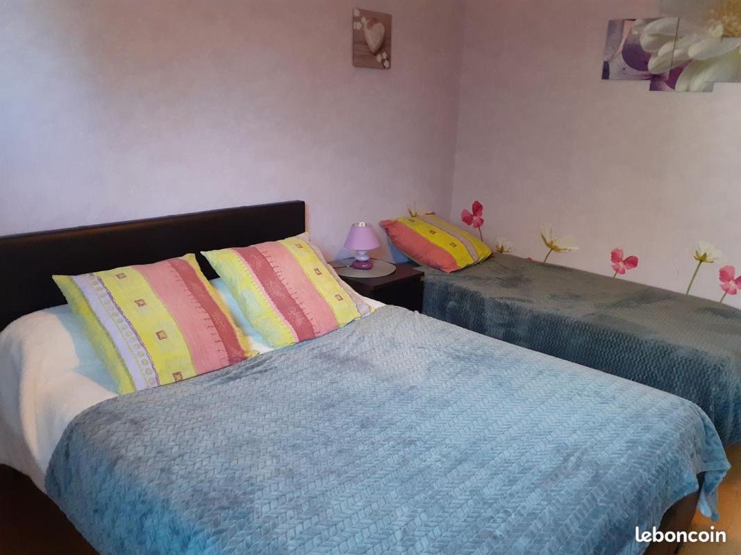 Chambres D'Hotes Les Nefliers Αμπουάζ Εξωτερικό φωτογραφία